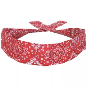 Cooldanna 6 Pack - Red Paisley